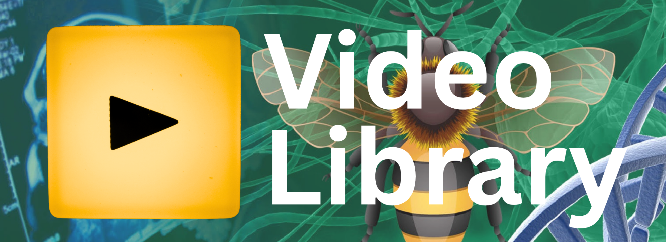 play button next to the words video library